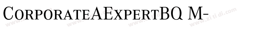 CorporateAExpertBQ M字体转换
